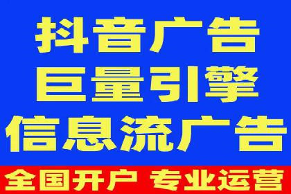 某企业SEM广告投放的ROI提升策略及效果展示