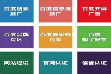 搜索引擎推广的佼佼者——百度搜索推广案例